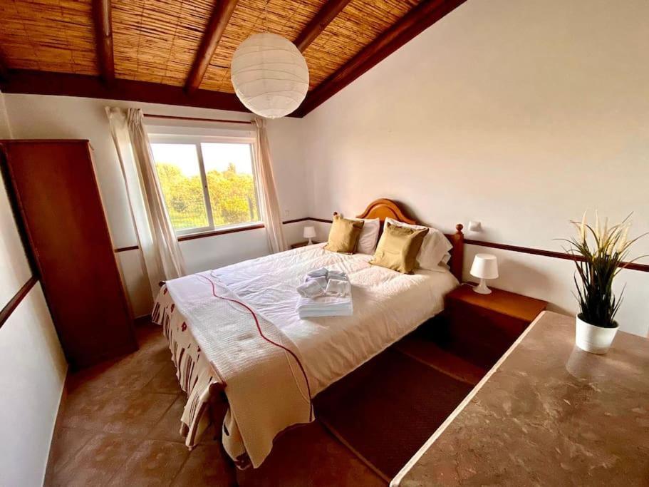 Palma'S Place Casanova Villa #Wifi#Heatedpool#Relax Distretto di Distretto di Faro Esterno foto